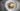 2016 11 14 001 DDavis - G&G Goodfellows