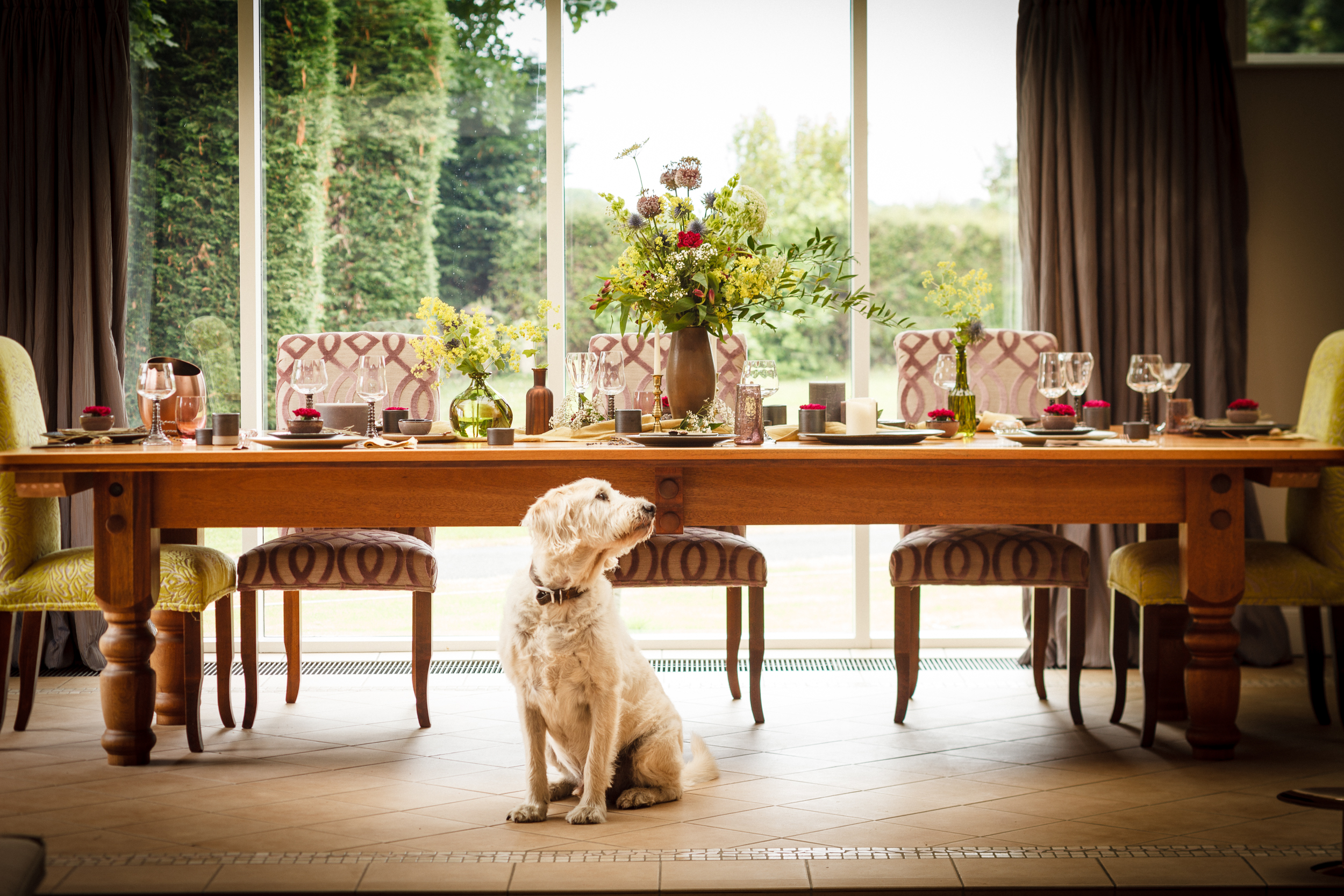 180706 DDavis 155 - G&G Goodfellows