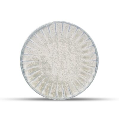 Atlas Plate 20cm - Sea Green