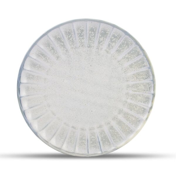 Atlas Plate 26cm - Sea Green