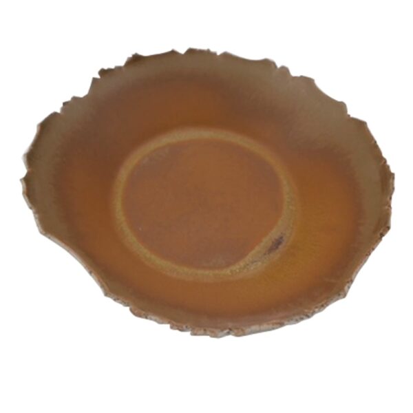 Bistro Bowl 22cm - Rust