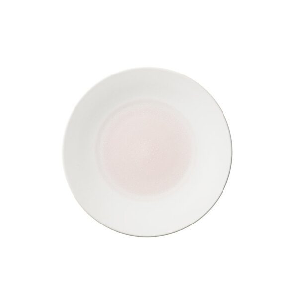 Colours 23 Dinner Plate 25cm - Rose