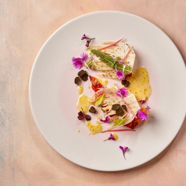Colours 23 Dinner Plate 28cm - Rose