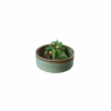 coral stackable bowl 13cm p5858 5162 image - G&G Goodfellows