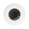 evolution deep coupe plate obsidian p14057 9765 image - G&G Goodfellows