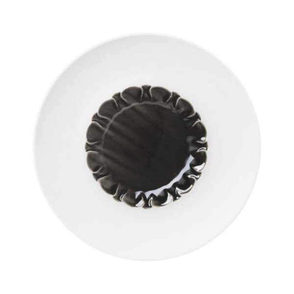 Evolution Deep Coupe Plate-Obsidian