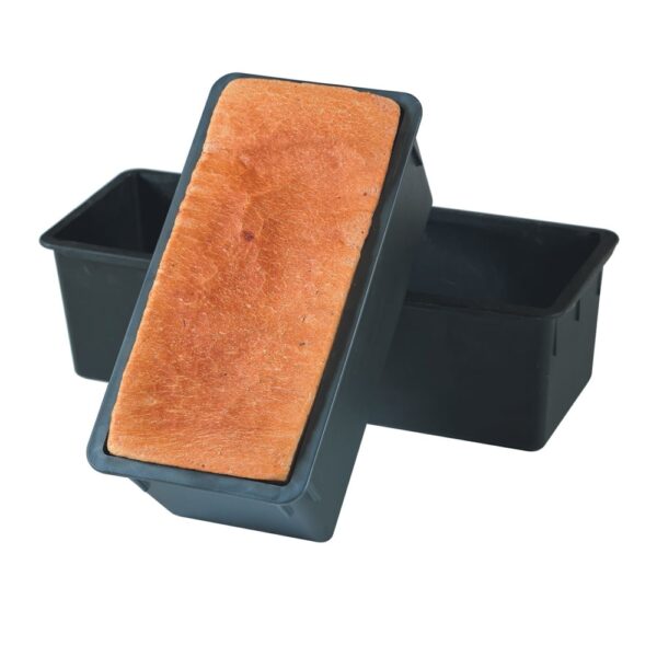 Exoglass Mould With Lid 500g