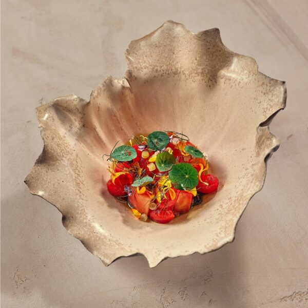 Flower Bowl 24x7cm(h) - Hyena Zeef