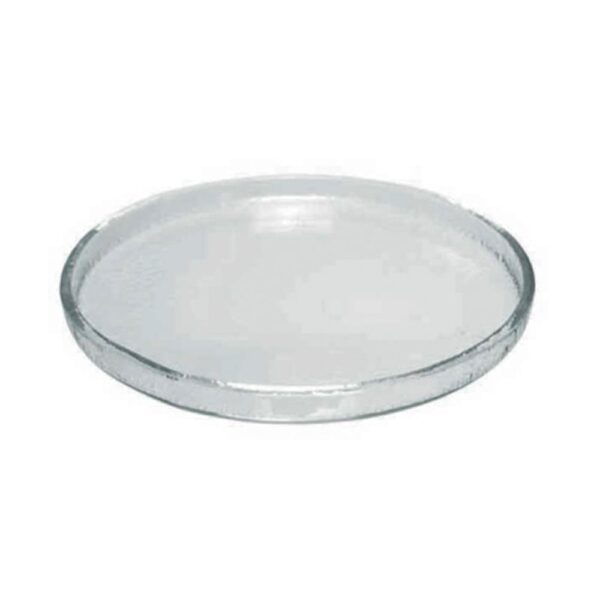 Glass Appetiser Plate 25cm - Transparent