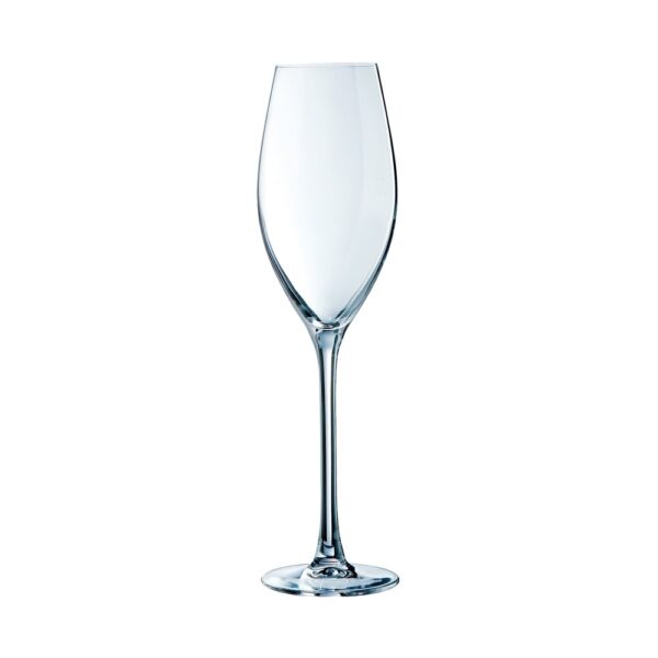 Grand Cepages Flute 8 oz 24cl