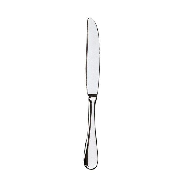 Michelangelo Table Knife