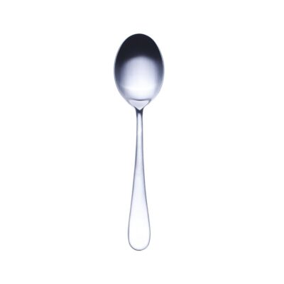Natura Dessert Spoon- Ice