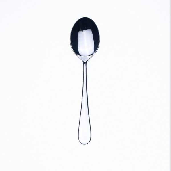 Natura Dessert Spoon