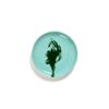 ottolenghi plate 22 5cm azure artichoke p12203 9005 image - G&G Goodfellows