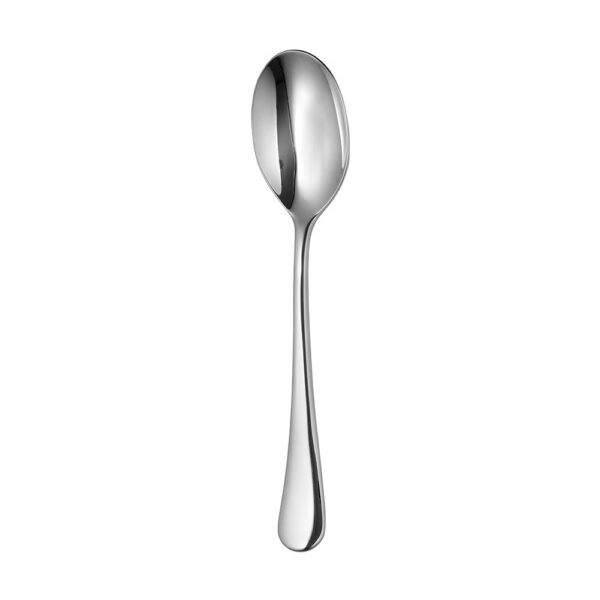 Radford (BR) Salad Serving Spoon