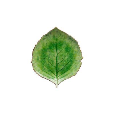 Riviera Hydrangea Leaf 21.8cm - Tomate