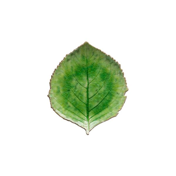 Riviera Hydrangea Leaf 21.8cm - Tomate