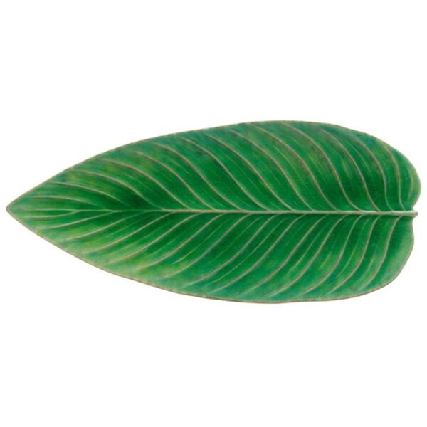 Riviera Strelizia Leaf 39.8cm - Tomate