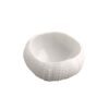 sea urchin xl 45x60x30mm p1484 858 image - G&G Goodfellows