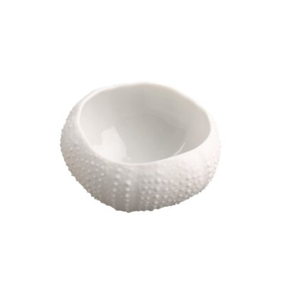 Sea Urchin XL 45x60x30mm