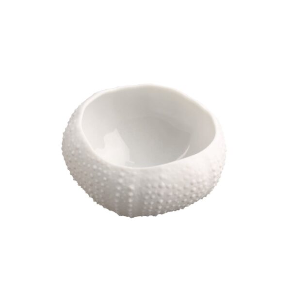 Sea Urchin XL 45x60x30mm