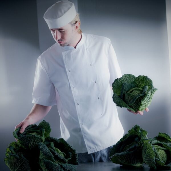 Short Sleeved Cuisine Jacket/40in(50c)
