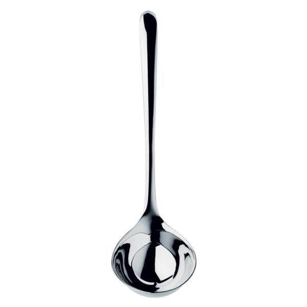 Signature V Ladle Large (BR)
