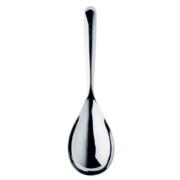 Signature V Rice Spoon (BR)
