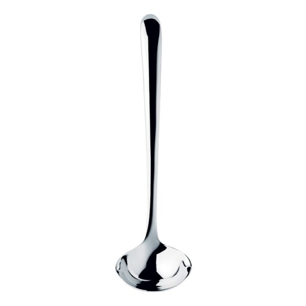 Signature V Serving Spoon Small (BR)
