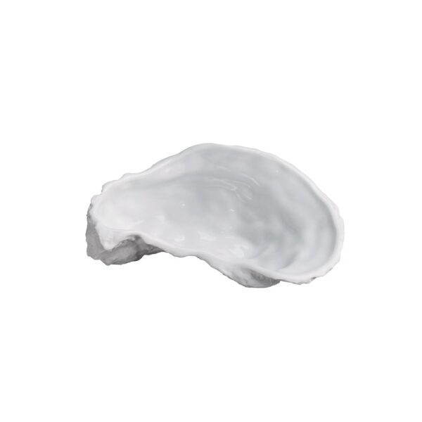 Tasting Oyster 120x70x40mm