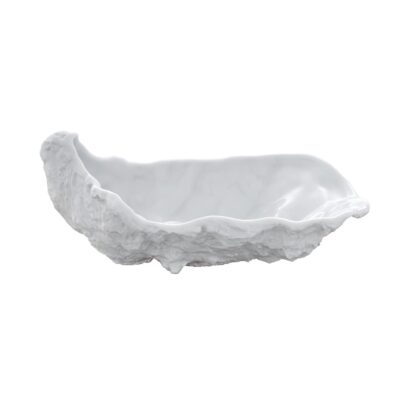 XXL Tasting Oyster 160x88x53mm