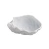 tasting oyster 80x45x30mm p1479 853 image - G&G Goodfellows