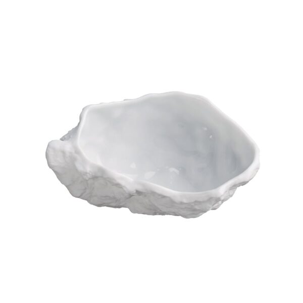 Tasting Oyster 80x45x30mm