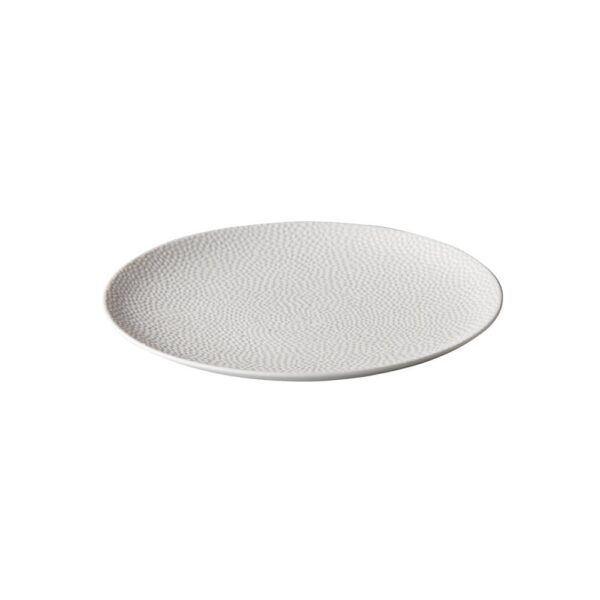 Coupe Plate 21cm - Polar