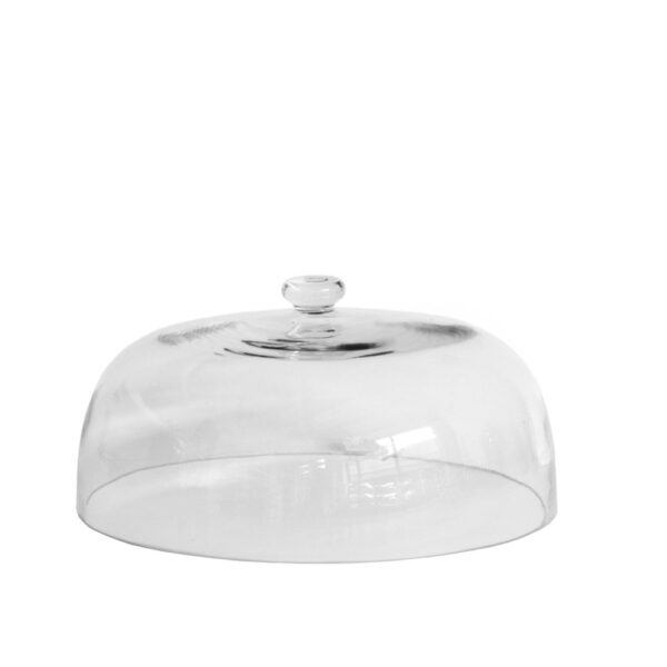Regular Glass Cloche