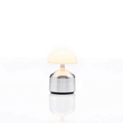 Demoiselle Small Lamp - Aluminium