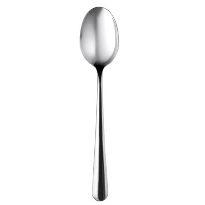 Stoccolma Ice Table Spoon